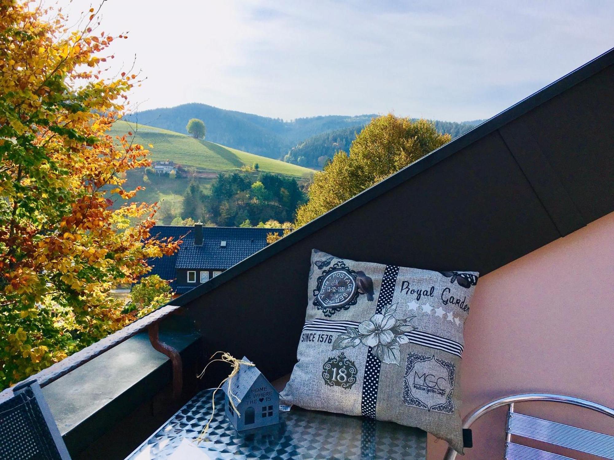 Goldener Hahn B&B Baiersbronn - Ferienwohnungen Mit Hotel Service Nahe Gartenschau Tal X Kamer foto