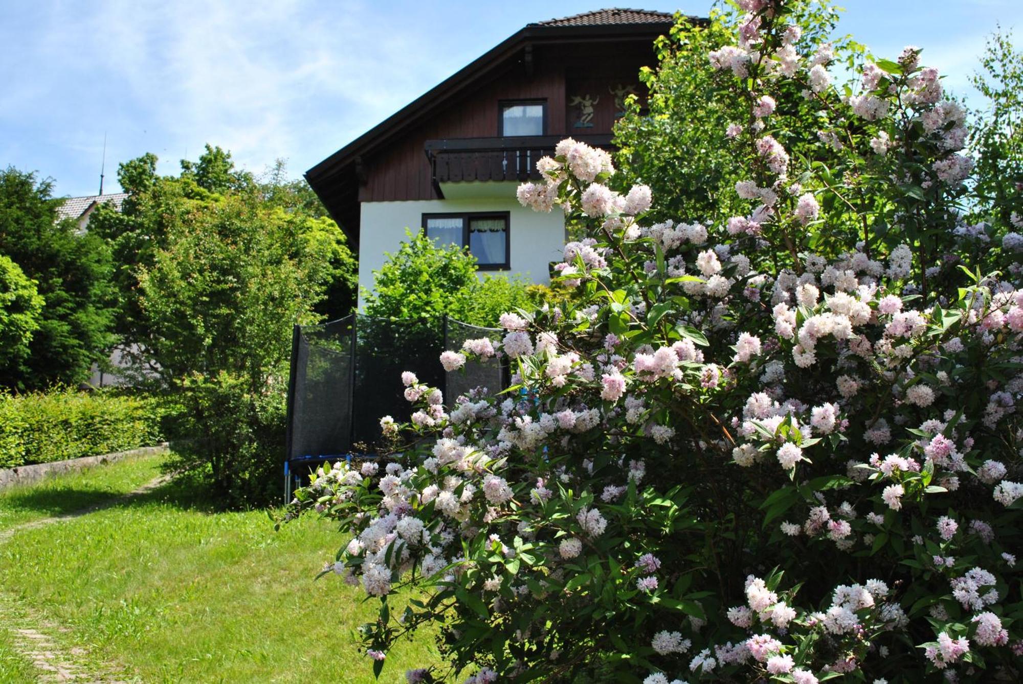 Goldener Hahn B&B Baiersbronn - Ferienwohnungen Mit Hotel Service Nahe Gartenschau Tal X Kamer foto
